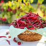 Peperoncino Abruzzese e capsaicina