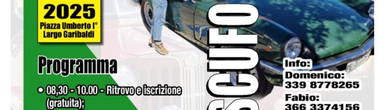 Terzo Raduno di Auto